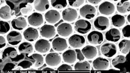 Cross-section of a templated membrane